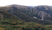 Excursión Senderismo Le Valtin - VOSGES 2023 - Sentier des Roches - Photo 9