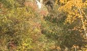 Trail Walking Le Lauzet-Ubaye - Le tour des cascades a - Photo 5