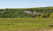 Tour Wandern Esneux - Autour de Ham - Photo 11