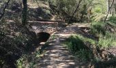 Excursión Senderismo Prades - Canal de Boera - Abbaye St Michel-de-Cuxa - Taurinya - Tour de Corts en boucle - Photo 3