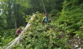 Excursión Senderismo Seyssinet-Pariset - Château Borel - Cabane à Laura - Ferme Durand - Mollard Gargot - Pariset et retour par rue de la Scie - Photo 3