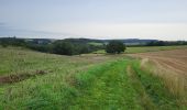 Tour Wandern Sainte-Ode - Beauplateau Ste Ode 240823 - Photo 8