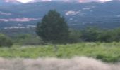 Trail Walking Bédoin - MT Ventoux ST Colombe 15 juin 2021 (IBP 132) CAF - Photo 11