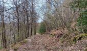 Tour Wandern Aywaille - ninglinspo . chefna . bois bablette - Photo 2