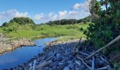 Percorso Marcia Basse-Pointe - Boucle Tapis vert - Anse Chalvet (SLNA) - Photo 14