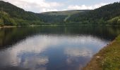 Trail Walking La Bresse - BREITSOUZE - DE LA SOURCE DE LA MOSELOTTE AU LAC DE LA LANDE - Photo 4