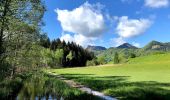 Percorso A piedi Aschau im Chiemgau - Wanderweg 24 - Rund um den Bärnsee - Photo 5