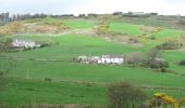 Trail On foot West Cork - Walk 1 - Drombeg Standing Stone Circle (7 - 9 km) - Photo 8