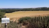 Tour Wandern Anhée - Boucle de 12 km au départ de Warnant - Photo 6