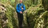 Trail Walking Nébias - Sentier nature, labyrinthique vert - Photo 1