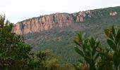 Percorso Marcia Roquebrune-sur-Argens - les gorges du blavet - Photo 2