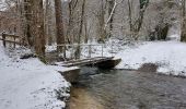 Trail Walking Havelange - Croix Maillard Nettine 090221 - Photo 6