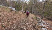 Trail Walking Saint-Vallier-de-Thiey - montagne de Thiey-forêt de Nans-19-04-23 - Photo 13