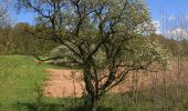 Randonnée A pied Ebersburg - Rhön-Rundweg 2 Weyhers - Photo 2