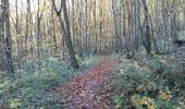 Trail Walking Saint-Martin - SAINT-MARTIN Mirande  le sentier des clouques  reco G4 3005118 - Photo 6