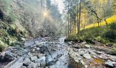 Trail Walking Malmedy - Balade de rêve 4 - Le canyon des Trôs Marets - Photo 1