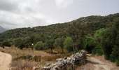 Trail Walking Monticello - boucle d'arbo - Photo 5