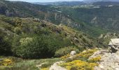Randonnée Marche Rosis - Le sommet du Plo des Brus dans l'Espinouse - Photo 17