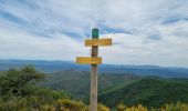 Tour Wandern Val-d'Aigoual - Col de l'Homme mort - Pont Moutonnier - Photo 1