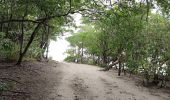 Randonnée Marche Sainte-Luce - Plage de Ste Luce, parcours santé  - Photo 2