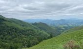 Excursión  Lecumberry - Buluntza, Vautours et Milans - Photo 2