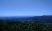 Tour Wandern Wegscheid - Sattelboden - Photo 3