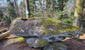 Trail Walking Reinhardsmunster - Reinhardsmunster - château Ochsenstein - tour du Brotsch - Photo 12