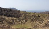 Trail Walking Orcines - Orcines le Pariou - Photo 3