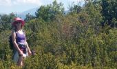 Trail Walking Rimon-et-Savel - Rimon-et-Savel CKCC - Photo 20