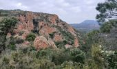 Trail Walking Saint-Raphaël - Le Drapeau d'Agay St Raphaël  - Photo 4