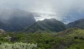 Excursión Senderismo Buenavista del Norte - Teno Alto  - Photo 4