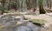 Excursión Senderismo Nans-les-Pins - Source de l’huveaune - Photo 11