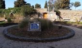 Tocht Stappen Hyères - Presqu'île de Giens Est-26-02-21 - Photo 1