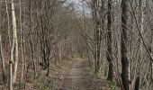 Randonnée Marche Limbourg - A la découverte de Limbourg  - Photo 15