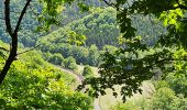 Tour Wandern Kiischpelt - Kautenbach - Sentier local KI 2 - Photo 14