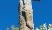 Trail Walking Plougrescant - GR_34_DG_28_Plougrescant_Perros-Guirec_20240914 - Photo 13