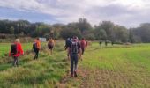 Tour Wandern Sucy-en-Brie - Boucle Sucy en Brie sans difficultés - Photo 7