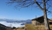 Randonnée A pied Cambiasca - R03 Cambiasca - Pian Cavallone - Pizzo Marona - Monte Zeda - Photo 3