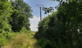 Tour Wandern Dinant - FOY GPX BERLAGE - Photo 11