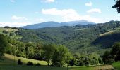 Tocht Te voet Canossa - Mulino di Chichino - Scalucchia - Spigone - Predella - Gazzolo - Cerreggio - Taviano - Photo 9