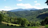 Trail On foot Canossa - Mulino di Chichino - Scalucchia - Spigone - Predella - Gazzolo - Cerreggio - Taviano - Photo 9