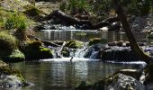 Randonnée Marche Tourves - Tourves- Le Saut du Cabri - Les gorges du Caramy - Photo 20