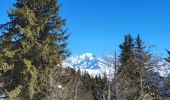 Tour Schneeschuhwandern Hauteluce -  Mont clocher bis - Photo 3