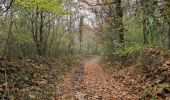 Tour Wandern Esvres - Esvres-sur-Indre - Veneuil Rouillers Hardellière - 24.5km 245m 5h20 (50mn) - 2024 11 23 - Photo 5