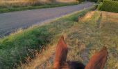 Trail Horseback riding Fronton - Trec 2 finalisé - Photo 20