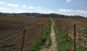 Randonnée Marche Ittre - Oisquercq - Braine-Le-Château (Boucle) - Photo 5