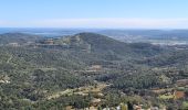 Tour Wandern La Garde-Freinet - La garde freinet - Notre Dame de Miremer - Photo 19