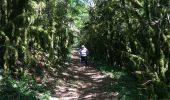 Trail Walking Val-Suran - Etape 2 GR 9 : Saint Julien sur Saran / Arinthod - Photo 3