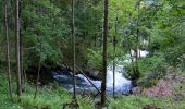 Tour Zu Fuß Gosau - Wanderweg 613 - Photo 5