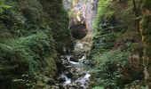 Trail Walking Fort-du-Plasne - Les gorges de la languettes et de malvaux  - Photo 2